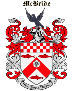 MCBRIDE family crest